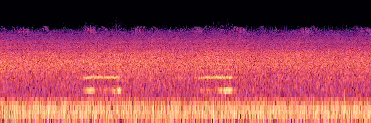 Spectrogram: Bumblebee and Avian Chorus